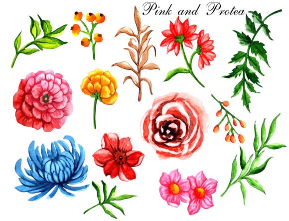 Download Watercolor Floral Elements Pink Protea - Pink Collection